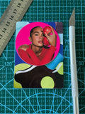 EDIBLE EGO